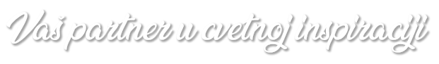 cdn_helper